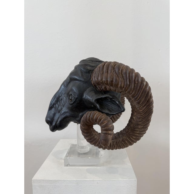 Northern European Artist, Ram's Head, 19th Century, Wood For Sale - Image 5 of 14