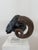 Northern European Artist, Ram's Head, 19th Century, Wood For Sale - Image 5 of 14
