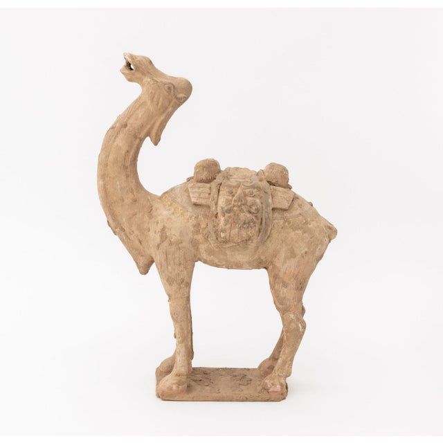 Chinese Tang Style Standing Camel Pottery Sculpture | Chairish