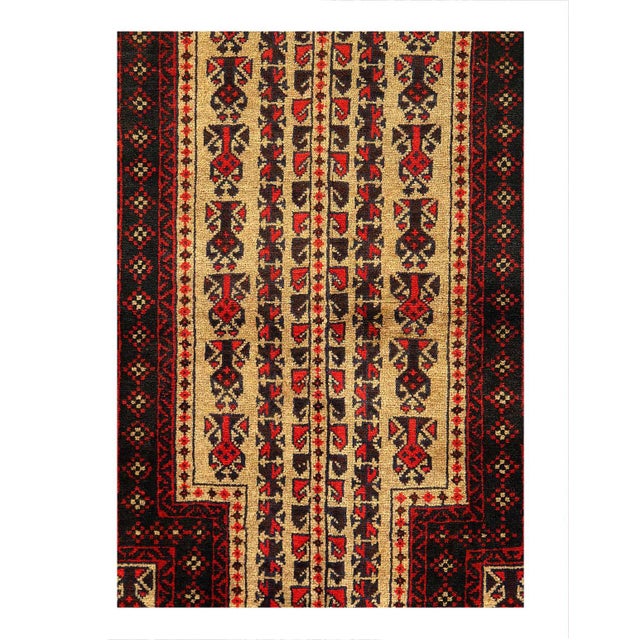 Balouch rugs are handmade tribal rugs from Eastern Afghanistan. These are primarily knotted by Pashtun and Baluch nomad...