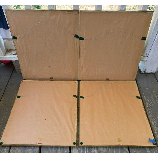 Set of 4 Framed Antique French Botanical Chromolithographs From L’Illustration Horticole by Jean Linden For Sale - Image 11 of 12