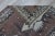 1980s Tribal Brown Handmade Runner Kelim For Sale - Image 9 of 10