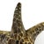 1970s Large Vintage Cast Brass Starfish Sculpture or Paper Weight With Aged Patina, Circa 1970s For Sale - Image 5 of 8