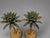 Green Pair of Mid-Century Painted Iron & Tole Palm Tree Candlesticks For Sale - Image 8 of 10