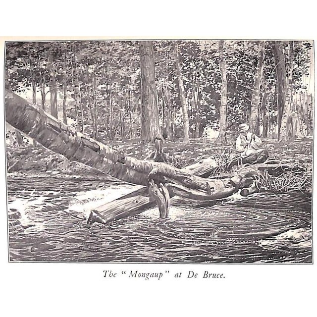 "The Speckled Brook Trout" 1902 Rhead, Louis For Sale In New York - Image 6 of 12