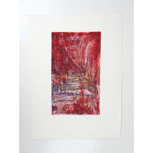 Vintage Abstract Red & Blue Botanical Etching For Sale - Image 4 of 5