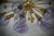 2000 - 2009 Mid-Century Murano Periwinkle Art Glass and Brass Chandelier and Pendant For Sale - Image 5 of 9