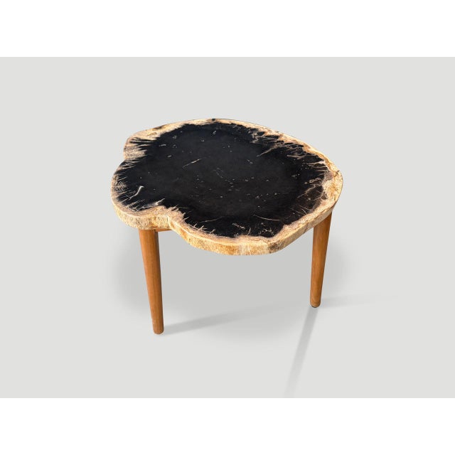 Contemporary Andrianna Shamaris Ancient Palm Petrified Wood Side Table For Sale - Image 3 of 4
