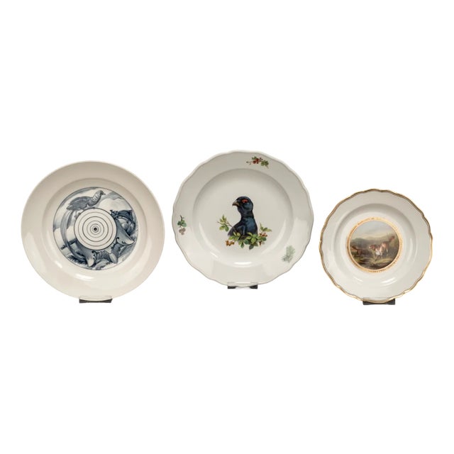 Vintage Hand-Painted Porcelain Plates with Animal Motifs from Meissen, 2010s, Set of 3 For Sale