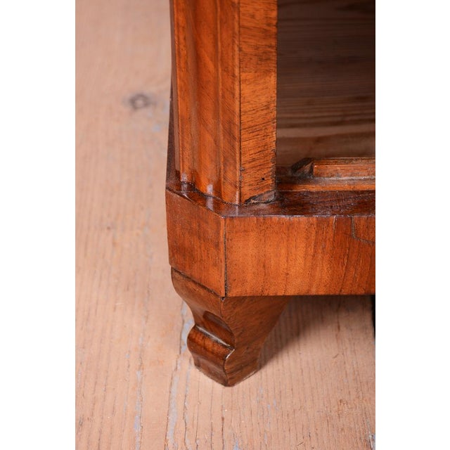 Wood Biedermeier Cabinet in Walnut, Austria, 1830s For Sale - Image 7 of 18