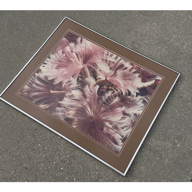 David Waselle “Fan Dancers” Signed Artist Proof Underwater Photograph For Sale - Image 4 of 10