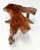 Brown Organic Modern Driftwood Coffee Table For Sale - Image 8 of 11