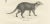 Genet and Civet and African Civet, 1836, Lithograph For Sale - Image 3 of 10