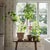 English Ängsflora by Boråstapeter Wallcovering In Spring For Sale - Image 3 of 4