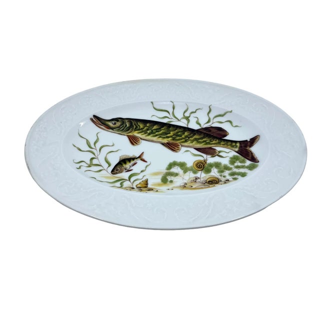 Antique early 20th century French Limoges platter. The porcelain platter illustrates a pike fish with other fresh water...