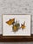 Mid-Century Modern Vintage Mid-Century Modern Abstract Art - Signed Scheck - Geometric Stars & Lines Framed Collage For Sale - Image 3 of 7