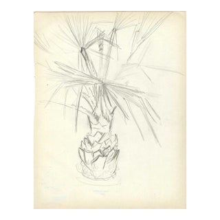 1940s Grace Spongberg Palm Tree Drawing For Sale
