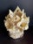 Mid 20th Century Vintage South Pacific Cowrie Shell Vase For Sale - Image 5 of 12