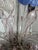 Polychrome Venetian Chandelier in Blown Glass For Sale - Image 8 of 14
