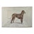 1950s Vintage Print of Great Dane For Sale