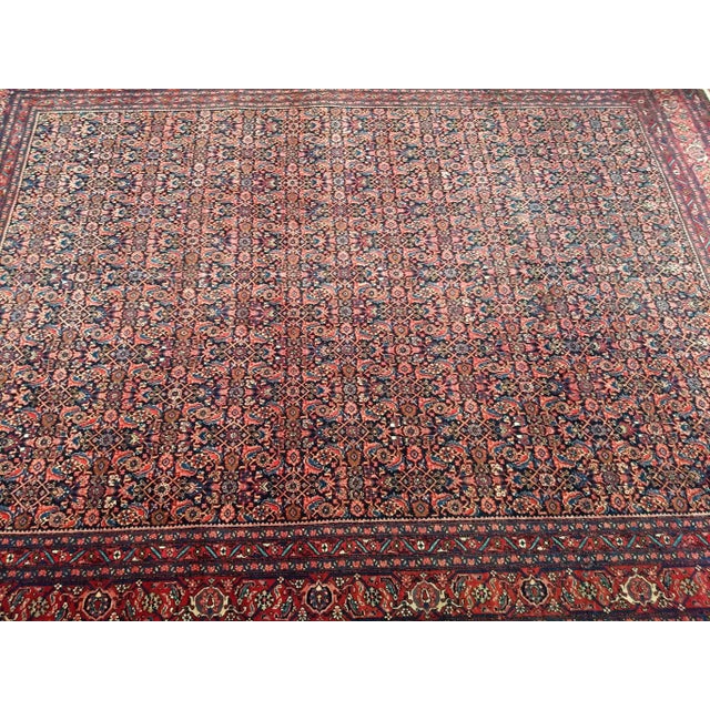 This exquisite room-size antique Persian Bidjar rug, dating to the early 1900s, features a timeless allover Herati pattern...