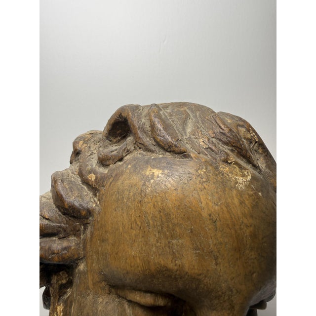Genovese Artist, Sculpture Depicting the Head of an Angel, 17th Century, Wood For Sale - Image 9 of 18
