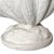 Contemporary Plaster Clam Shell Table Lamps - a Pair For Sale - Image 16 of 16