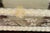 Vintage Italian Murano Glass Venetian Wall Mirror With Floral Engravings & Gold Accents For Sale In Dallas - Image 6 of 12