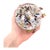 Paul Ysart Attributed Harlequin White Ground/Polychrome Twist Glass Paperweight For Sale