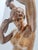 Brown Cantù Artist, Sculpture of Nude Woman, 1960s, Walnut For Sale - Image 8 of 16