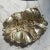 1950s 1950s Vintage Brass Mistletoe Catchall For Sale - Image 5 of 5