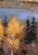 Changing Colors by Seth Winegar | Oil on Panel Autumn River Valley Landscape For Sale - Image 4 of 10