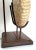 Lamp Plaster Seashell Shell Ammonite Large For Sale - Image 10 of 13