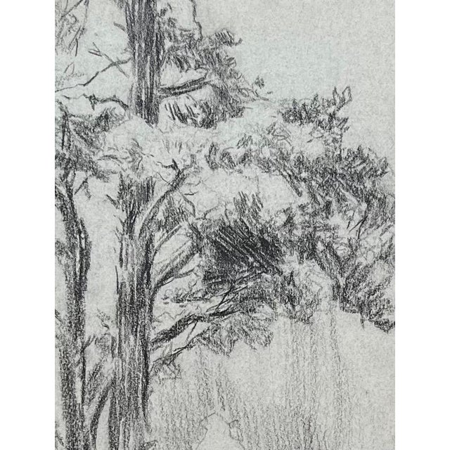 Otto Vautier, Tree, Graphite on Paper For Sale - Image 4 of 12