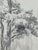 Otto Vautier, Tree, Graphite on Paper For Sale - Image 4 of 12