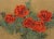 David Lee, "Poppies (9)," Lithograph For Sale