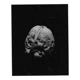 1970s Walnut Still Life by Garo For Sale