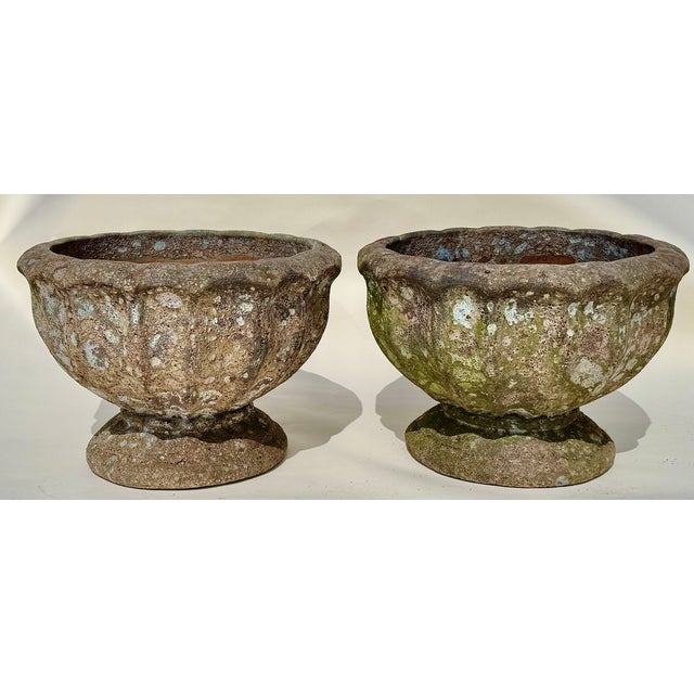 Late 20th Century Pair Terracotta Garden Urns, Lobed Campana Form, Weathered Finish For Sale - Image 5 of 17