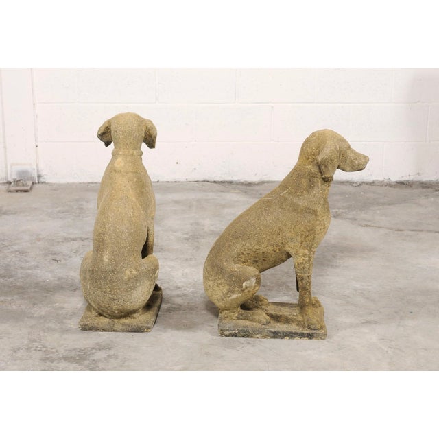 Mid 20th Century Mid 20th Century Pair of Stone Labrador Garden Statues For Sale - Image 5 of 13