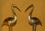 1960s Brass Ibis Sculptures, France, 1960s, Set of 2 For Sale - Image 5 of 12