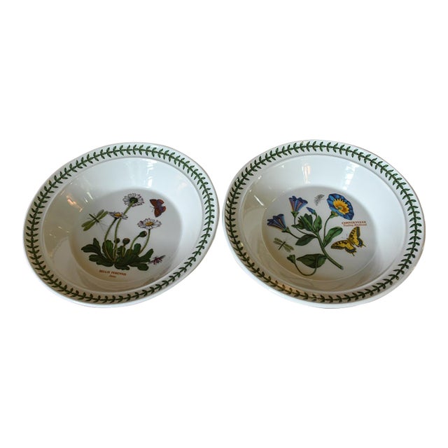 Vintage Portmeirion Botanic Garden Pasta Bowls Set of 2 For Sale