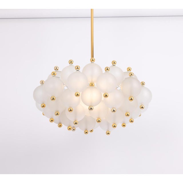 Large Frosted Glass and Brass Chandelier from Kinkeldey, Germany, 1970s For Sale - Image 13 of 18