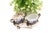 Porcelain Salt and Pepper Shakers with Silver Frame, Set of 2, in Good conditions. Designed 1920 to 1949
