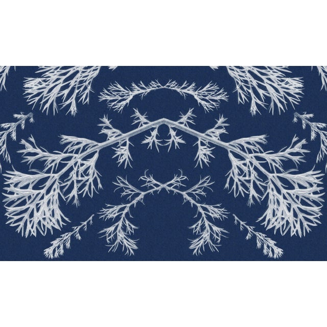 2020s "Vintage Pressed Flowers Nº2" Botanical Composition in Classic Blue, Original Cyanotype on Watercolor Paper 2020, Limited Edition 1/20 For Sale - Image 5 of 10