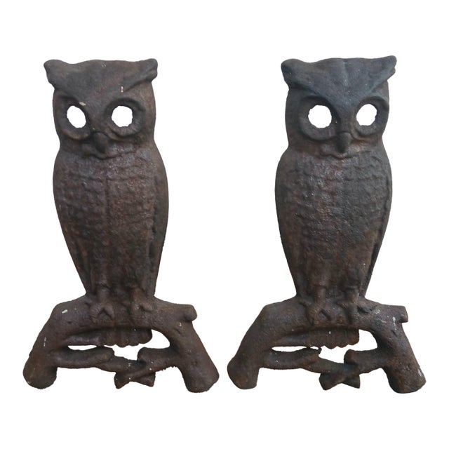Striking Pair of Antique Owl Andirons For Sale