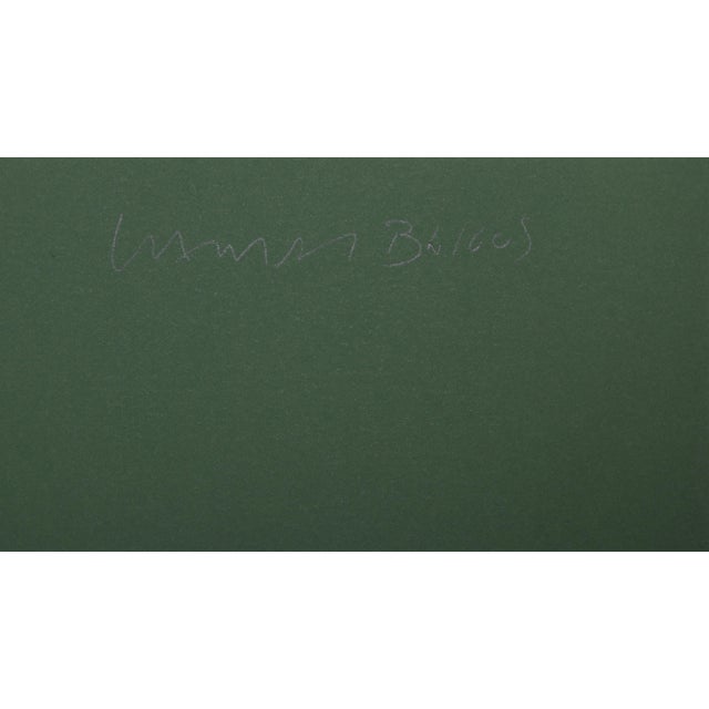 1970s Lamar Briggs Fire Dancer, Colorful Abstract Expressionist Lithograph by Lamar Briggs 1976 For Sale - Image 5 of 5