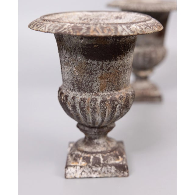 Antique French Petite Cast Iron Urns Planters - a Pair For Sale - Image 4 of 9