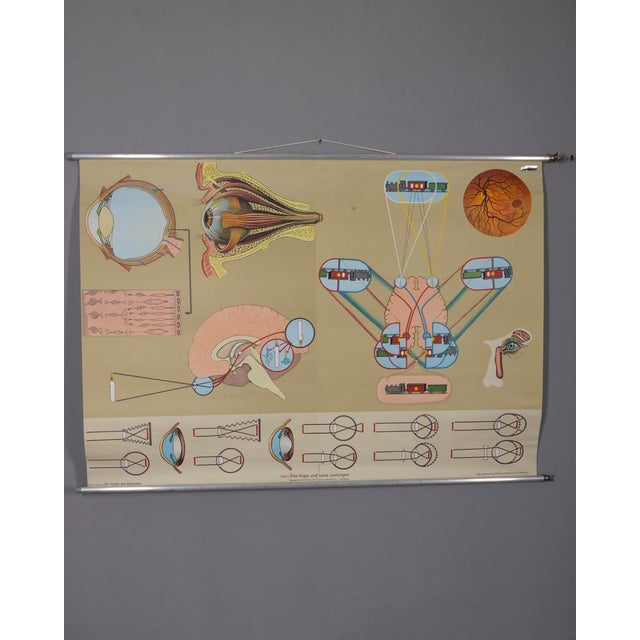 Vintage School Poster the Eye and Its Functions from Lehrmittelverlag Wilhelm Hagemann, 1970s For Sale - Image 15 of 15