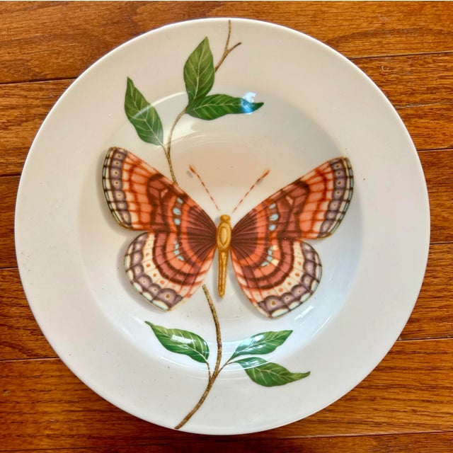 1990s Set of 4 Butterfly Pattern Soup Bowls by Queen’s Porcelain For Sale - Image 5 of 7