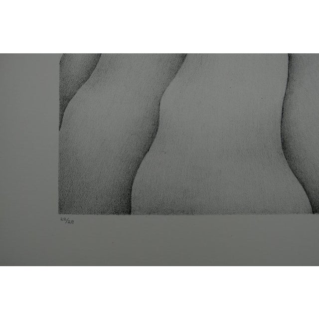 Gochka Charewicz, Tour Végétale, Lithograph For Sale - Image 6 of 8